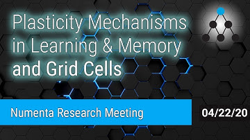 Plasticity Mechanisms in Learning & Memory / Grid Cells - April 22, 2020