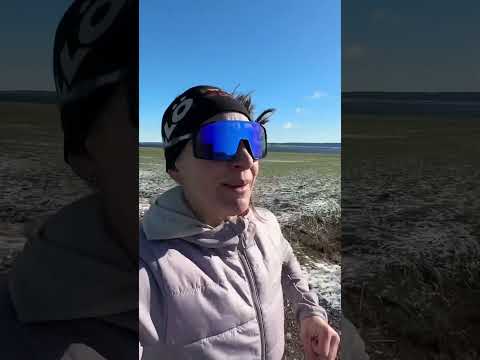 Vad ska vi