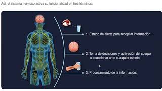 Tercera sesión. Semana 3 módulo 16. octubre 2019.