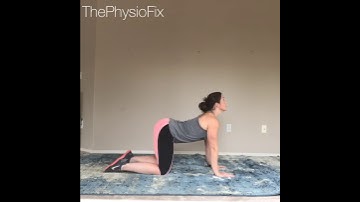 Spinal mobility: cat/camel