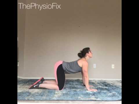 Spinal Mobility Cat Camel