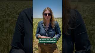 Dishin the Dirt: Agricultural Efficiency in the West
Join NRCS Chief Aubrey J.D. Bettencourt as she Dishes the Dirt on how the agency is empowering Arizona producers to integrate and modernize conservation practices to increase efficiencies in the field – from a third-generation onion transplant producer who was able to upgrade his irrigation pumping system through the agencys EQIP program, ultimately cutting down on water and diesel fuel use – to the Gila River Indian Community, which has worked with NRCS to modernize over 60 miles of canal infrastructure and revitalize their agricultural lands. Dishin the Dirt: Agricultural Efficiency in the West