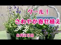 クール！爽やかな寄せ植え梅雨に負けないコツ