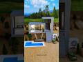 DIY Cabin with garden & courtyard । such a gorgeous modern villa #usa #trending #usatoday #shorts