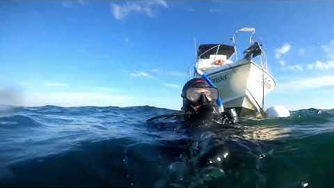Scuba Diving the HMCS Yukon and Ruby E in San Diego