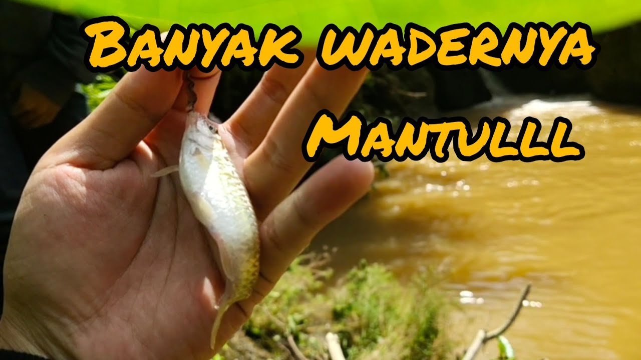 Mancing wader atau Benter di sungai air keruh | Mantri Gani