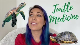 What does Turtle want to teach us?
