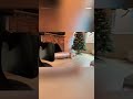 Meet Oro: The robot nanny that cares for your pets while you’re away