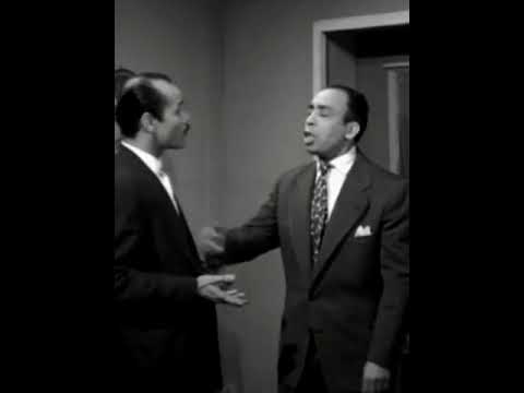 الخادمات الفاتنات Shorts