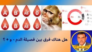 الدكتور محمد فائد || ما الفرق بين فصيلة الدم الموجبة (+) والسالبة (-) ؟