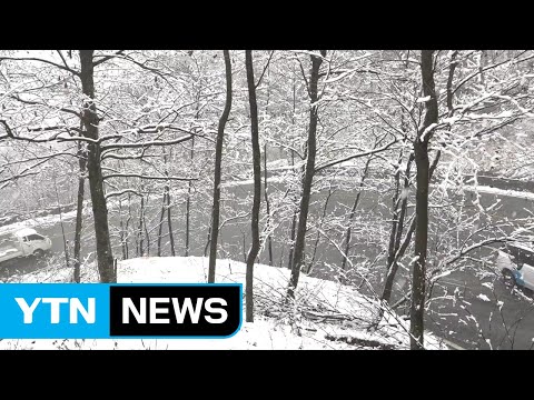 [날씨] 점차 흐려져 전국 눈...밤부터 기온 '뚝' / YTN