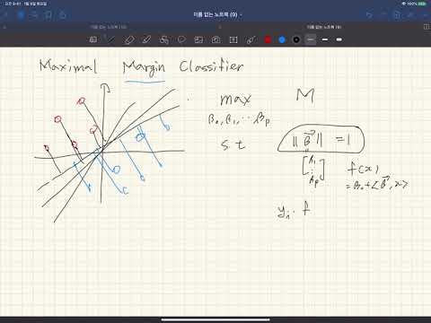 [W12-13-3] Maximal Margin Classifier