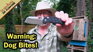 Razor Sharp & Butter Smooth EDC Knife - Kizer Sheepdog Review
