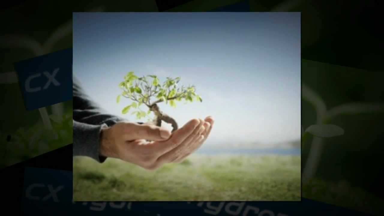 CX Hydroponics - Plant A Seed And Watch It Grow