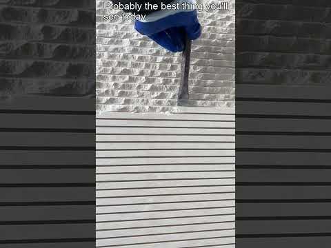  383219099896581546381