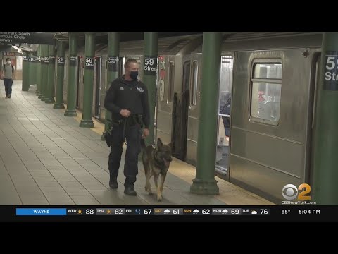 MTA Study Finds