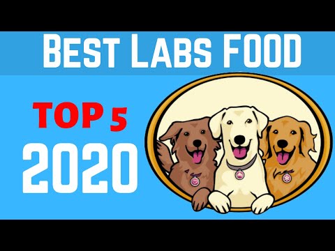 ✅-best-dog-food-for-labs-2020--|-top-5-best-dog-food-for-labrador-with-skin-allergies.