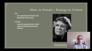 Gender and Sex Introduction