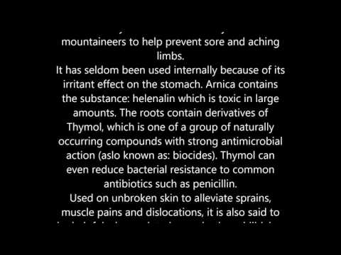 Arnica Montana health benefits