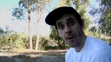 Rick McCrank - Return of the Flare