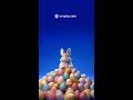 Happy Easter CROFam