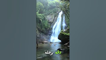 #القرآن_الكريم #المصحف #تلاوة_خاشعة #اكسبلور #القزابري #الرحمن #اسلاميات #لايك