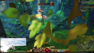 Guild Wars 2:  Champion Avatar of Balthazar solo kill