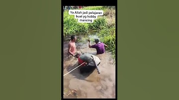 Seorang pria pemancing tewas diterkam buaya #pemancingan #buaya #tewas