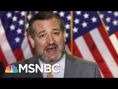 Cruz Ignores CDC Guidelines Talking To Press Without A Mask | The 11th Hour | MSNBC
