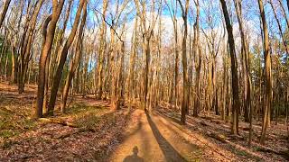Piney Woods Trail - Goodyear Heights Metro Park - Summit County, Akron, Ohio #nature #parks #outdoor