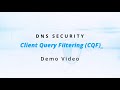 EfficientIP Client Query Filtering Demo Video