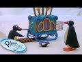 Pingu Brings Music! 🎵 | Pingu Official | 1 Hour | Cartoons for Kids