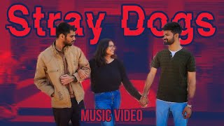 Enork  Stray Dogs    shot At Iit Jodhpur