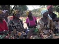 PETAUKE CHISOSO COMMUNITY SEE REDUCTION IN TEENAGE PREGNANCIES