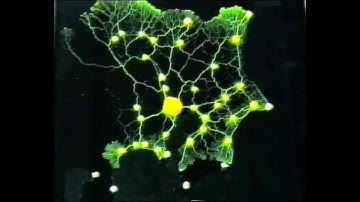 Darwin’s Simple Cell vs Slime Mold Tokyo Subway System. BioGraphic. Creation Evidence.