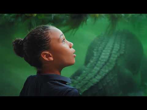 The Reptile House Returns at the Toledo Zoo!