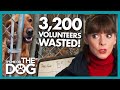 Trouble Dogs and Wasted Resources Grind Dog Shelter to a Halt! | It's Me Or The Dog