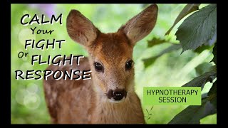 Calm Your Fight Or Flight Response and Feel Your Body Let Go!  Hypnotherapy / Guided Meditation