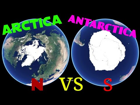 TOP 8 Diferente Dintre Antarctica si Arctica