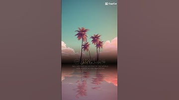 🩷 #اكسبلور #اذكار #قرآن #راحة_نفسية #دويتو #الصلاة #استغفرالله #duet #دعاء #لايك