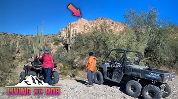 BREAKING: EPIC DJI AVATA CRASH SALVAGE- Turtle Mode is Useless 🚑