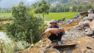 Helping Build A Stone Embankment U0026 A Vitaminrich Treat For Gauanh 1985 Vlogs