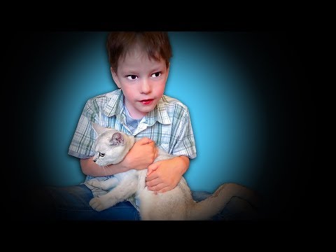 Дети СПАСАЮТ КОТЯТ в загадочном доме