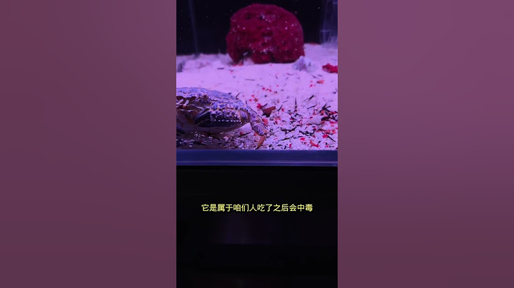 本身没有毒性，人吃了却会中毒的螃蟹你们见过嘛？