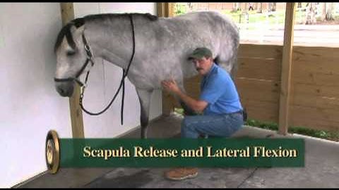 The Basic Scapula Release from Dressage Movements Revealed video