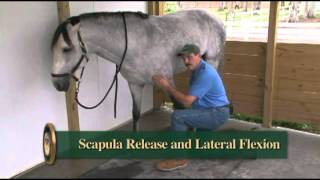 The Basic Scapula Release from Dressage Movements Revealed video