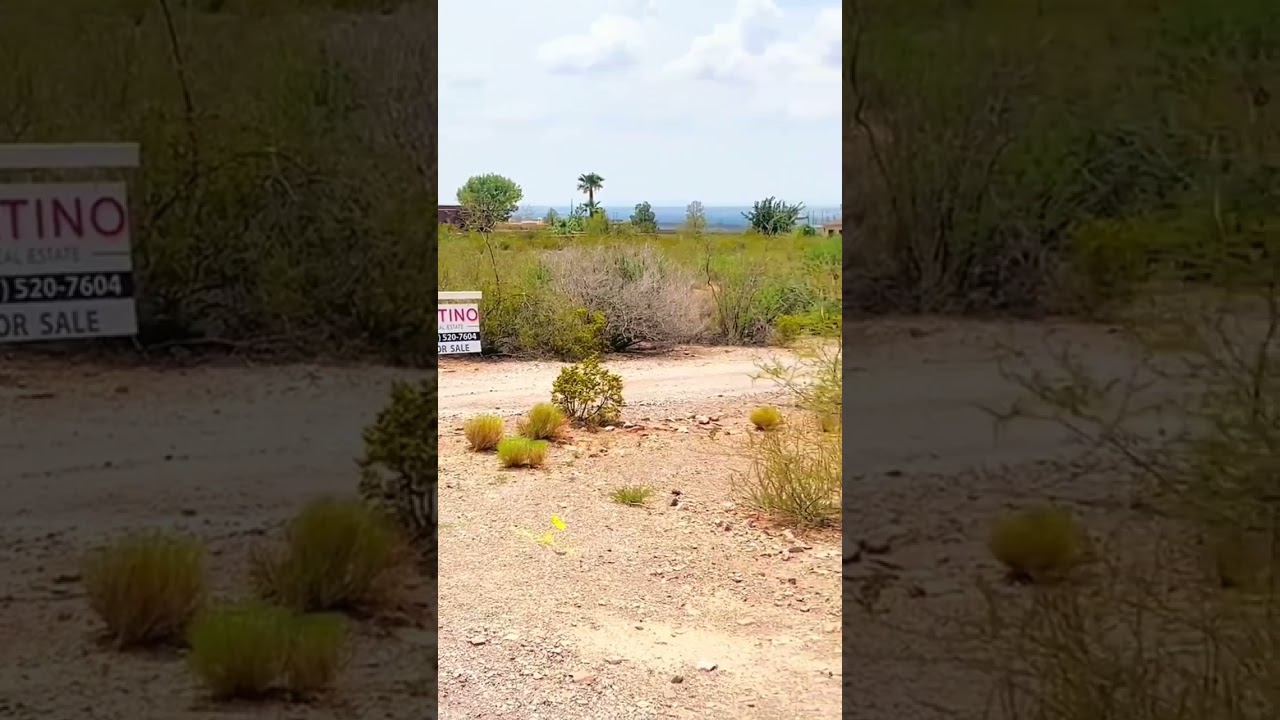 Homes for Sale in Las Cruces NM: Awesome Listing