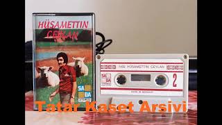 Hüsamettin Ceylan - Hasta Gönlüm Resimi