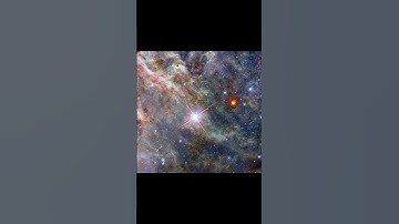 The Tarantula Nebula: The Most Intense Star Factory