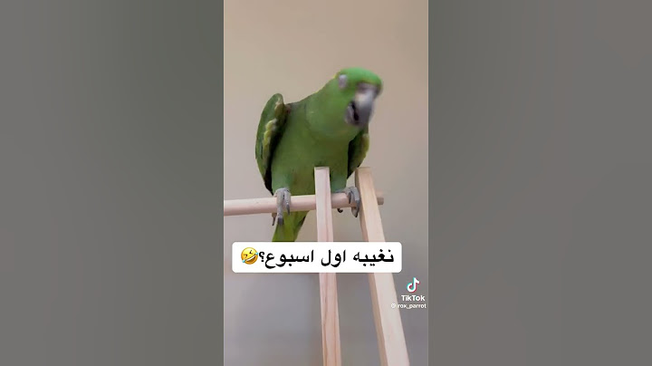 يضحك حتى المدرسة يحسب نفسه انه يدوم لان انا كنت اقول بكرة مدرسه وصار كل يوم على هالوضع